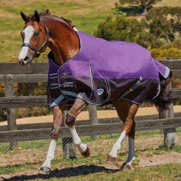Weatherbetta Horse Sheet - Picture 1 of 7